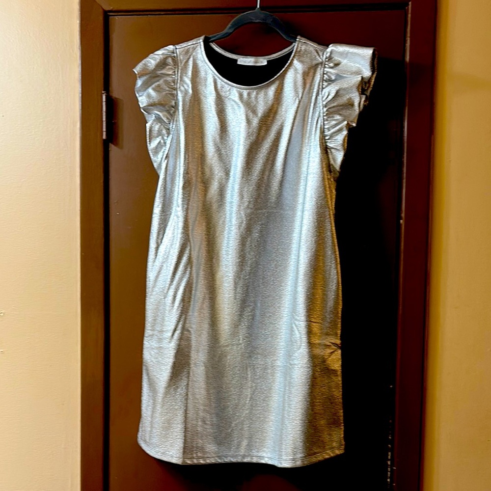 Silver Ruffle Sleeve Dress with pockets